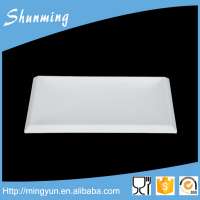 Hot selling wholesale white plastic plate for hotel